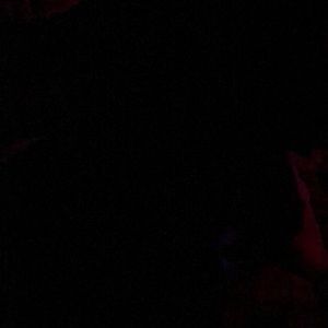 Meet your Posher, Evan